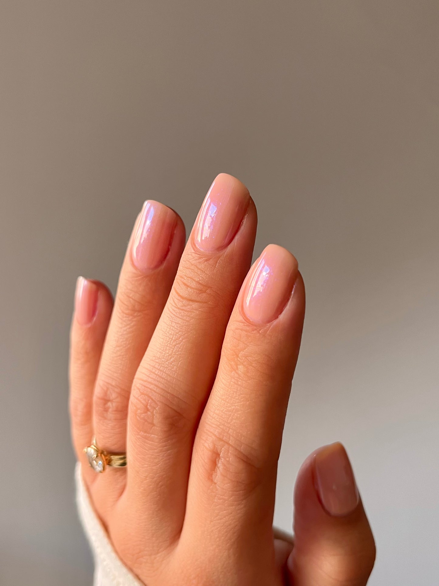 you dim sum you lose sum collection