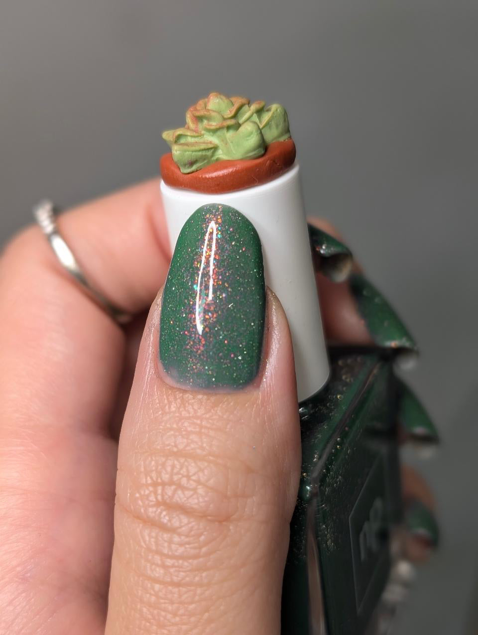rooted in succ-cess